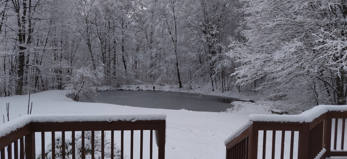 A serene winter landscape is depicted, featuring a pond surrounded by snow-covered trees. The scene captures the tranquility of nature, with a wooden railing in the foreground guiding the viewer's gaze towards the still water and the blanket of snow on the ground.