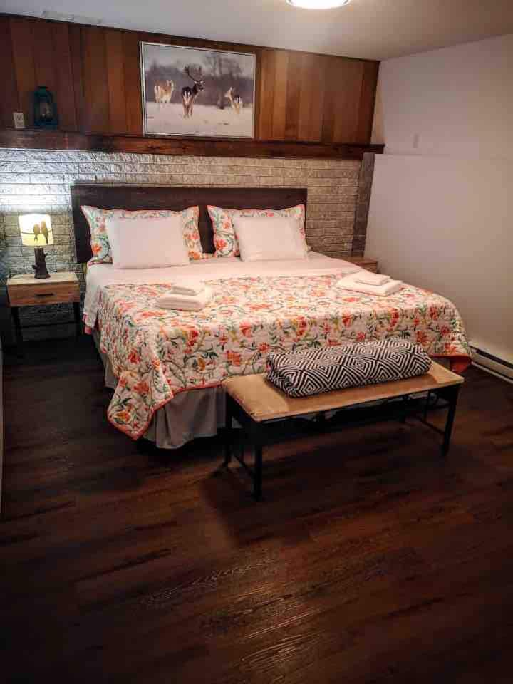 Chambre au sous-sol avec un très grand lit et un sofa lit - Basement bedroom with a king bed as well as a sofa bed 