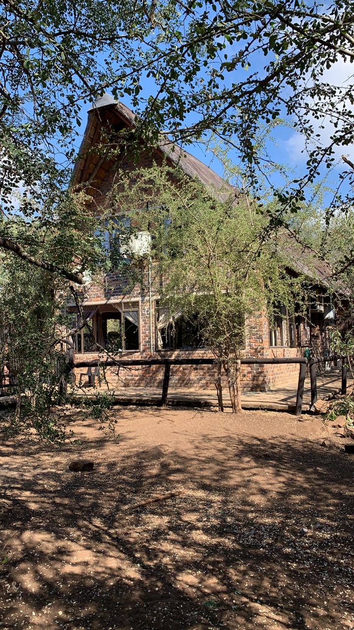 A charming house features a combination of brick and wood elements, surrounded by trees and lush greenery. The structure is positioned to allow natural light to enter through large windows, with earthy ground visible around its foundation.