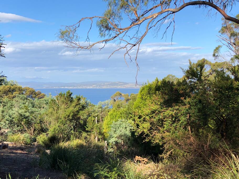 view from the front door