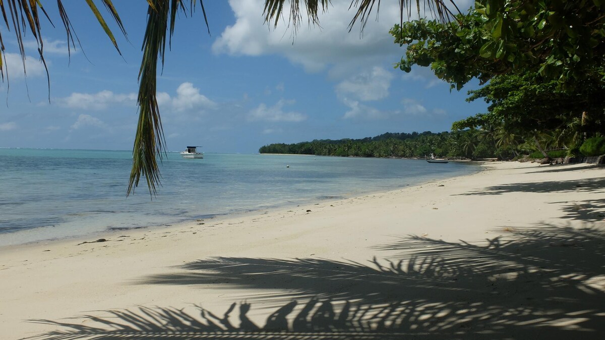 A serene beach scene is depicted, featuring soft, white sands and gentle turquoise waters. Lush palm trees frame the image, casting dappled shadows on the shoreline. In the distance, a boat can be seen on the calm water, with green tropical vegetation lining the coast.