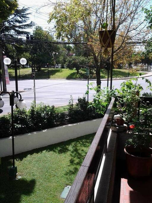 Terraza