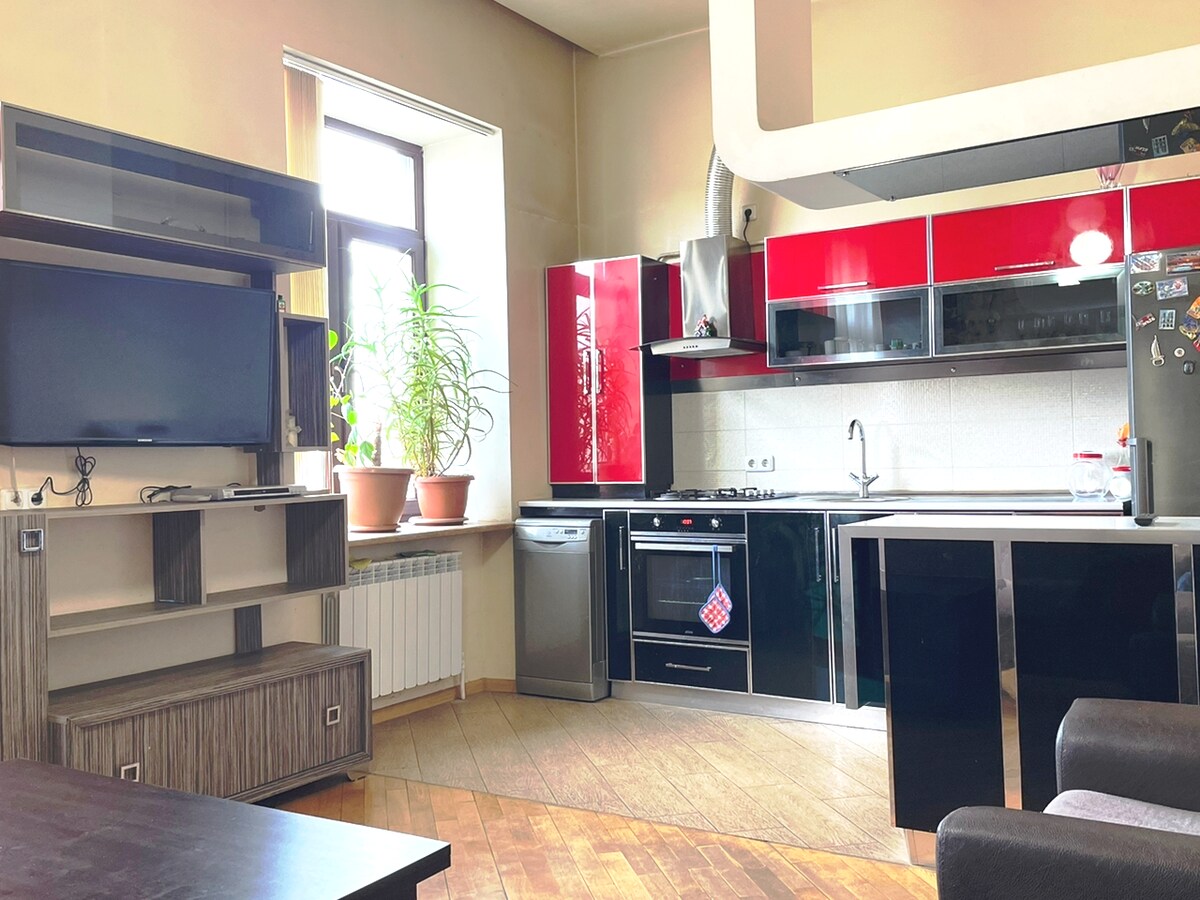 A modern kitchen is showcased with sleek red cabinetry and stainless steel appliances. A television is mounted on a wall, accompanied by a spacious shelving unit. Light filters through a large window, illuminating potted plants on the windowsill.