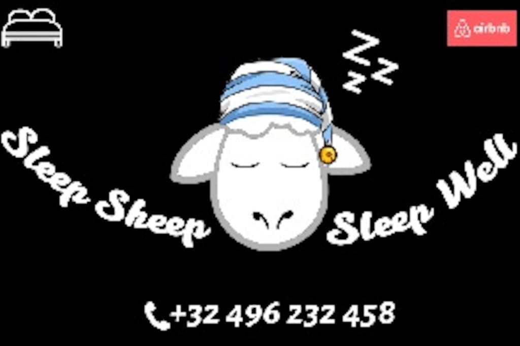 Sleep Sheep & Sleep Well