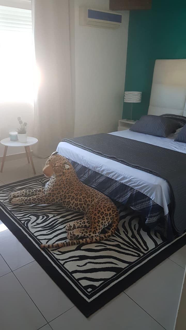 vrlo lijepa, dobro odgojena životinja ispred bračnog kreveta