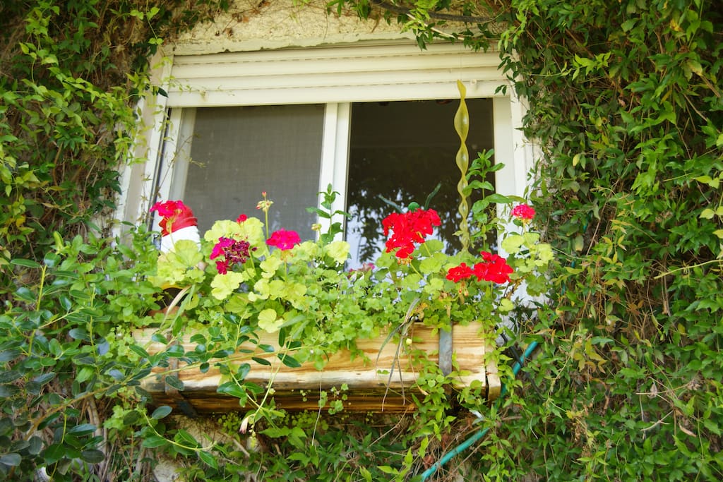 From the garden to the apartment