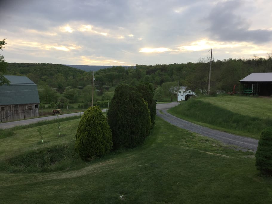 View from porch