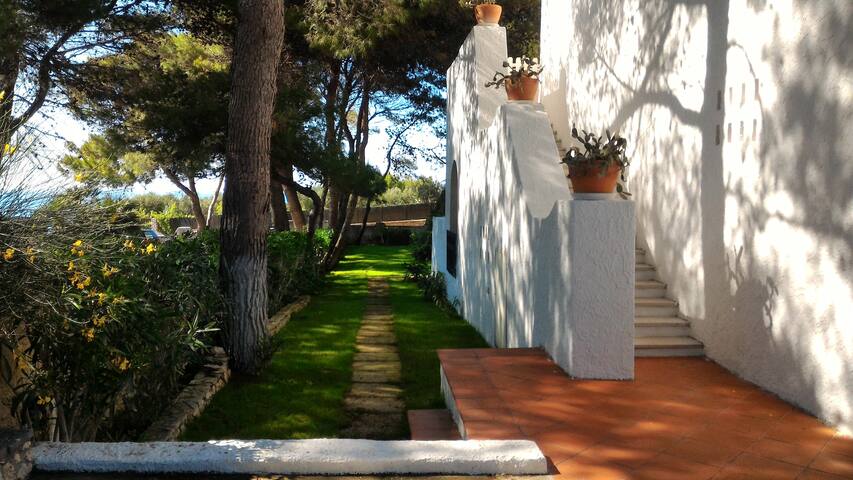 Peschici beautiful villa on the beach gallery image 2