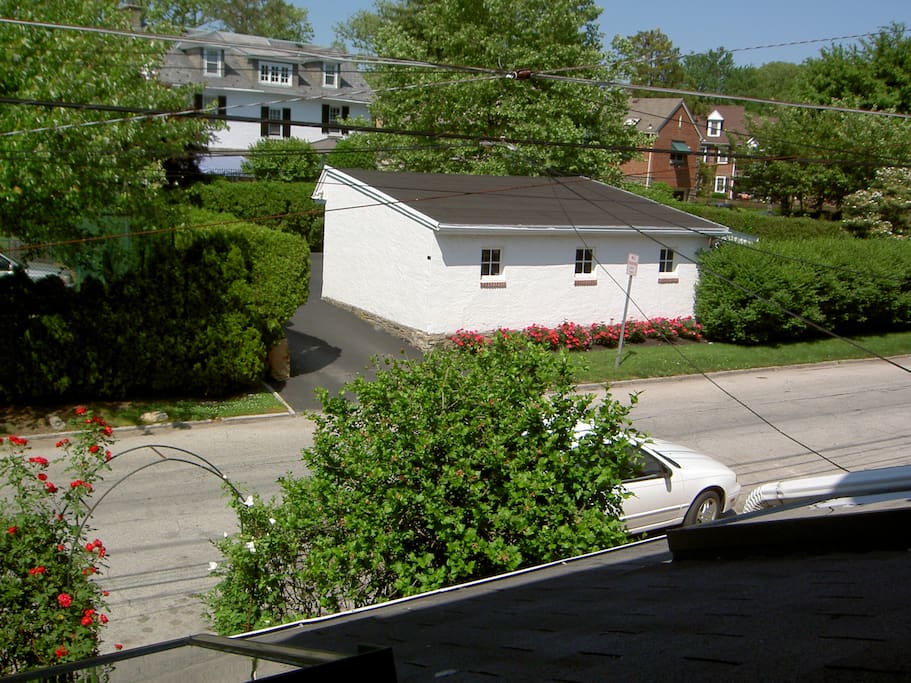 view from room