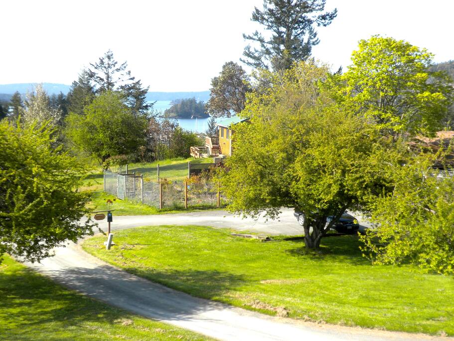 VIEW FROM THE LODGE