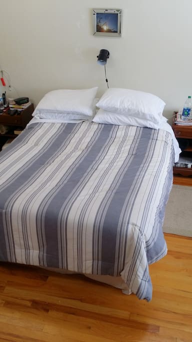 Deluxe firm Tempur-Pedic Queen bed.