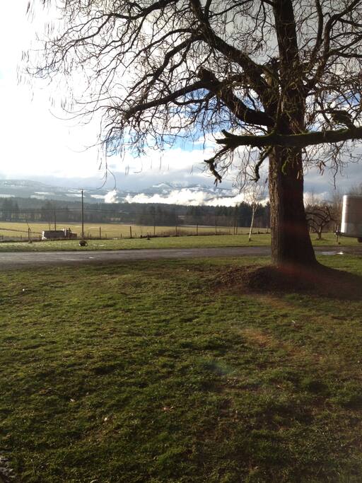 quiet country setting