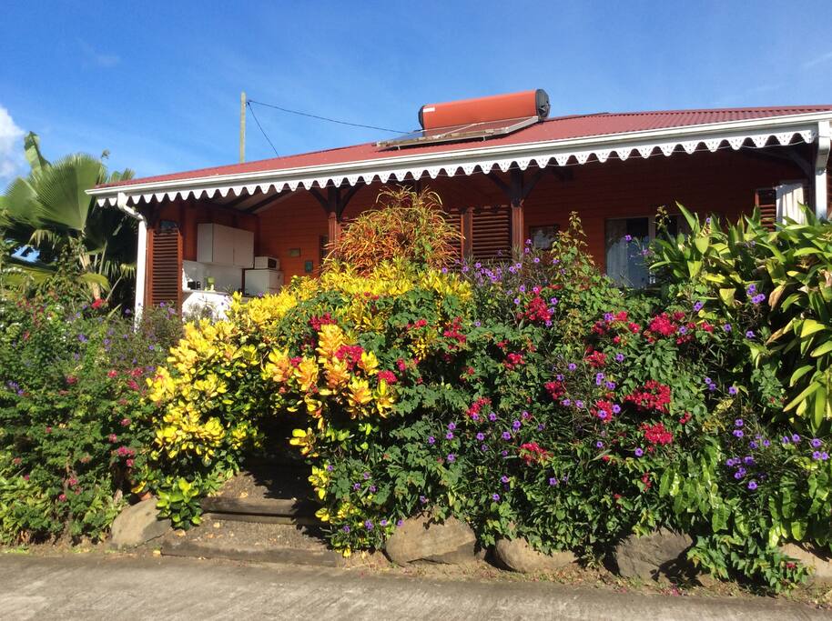 extérieur des bungalows