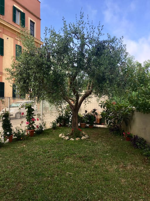Il giardino