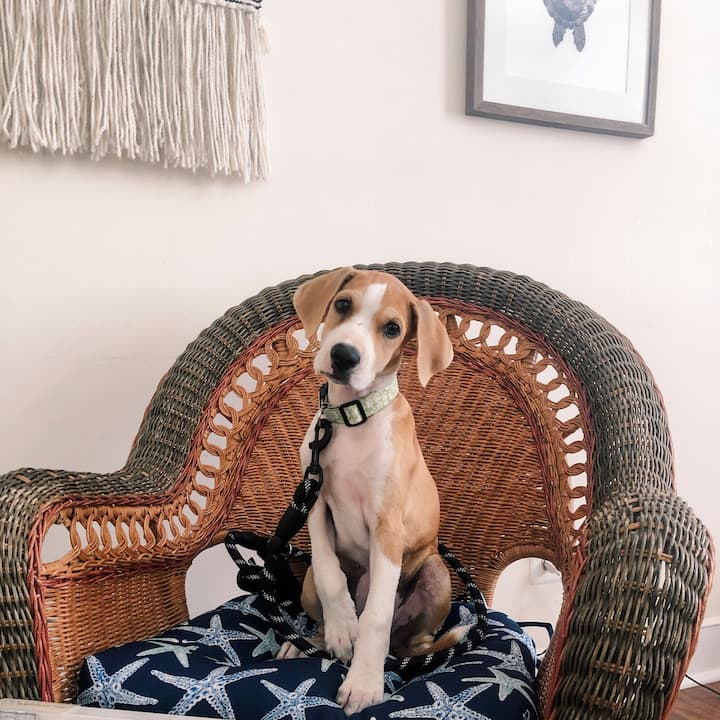 Погодно за миленици