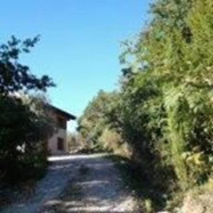 Vialetto di casa