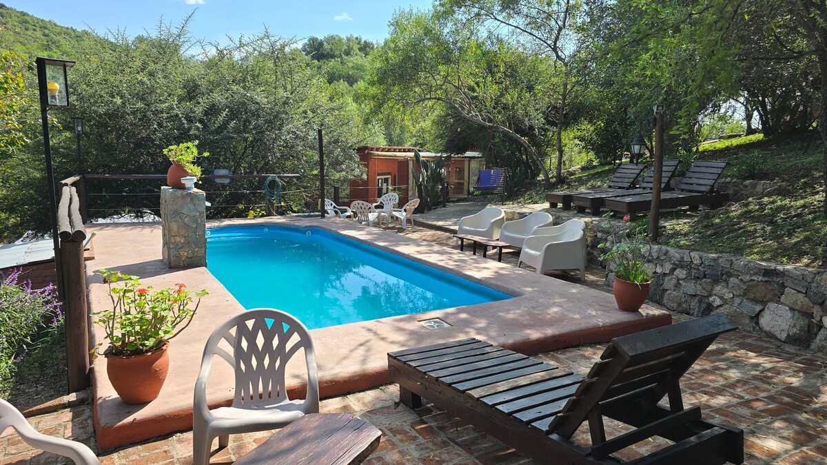 A swimming pool is surrounded by a sunbathing area featuring lounge chairs and white seating. Green foliage is visible in the background, enhancing the natural setting. A potted plant adds a touch of greenery beside the pool, creating a relaxed outdoor space.