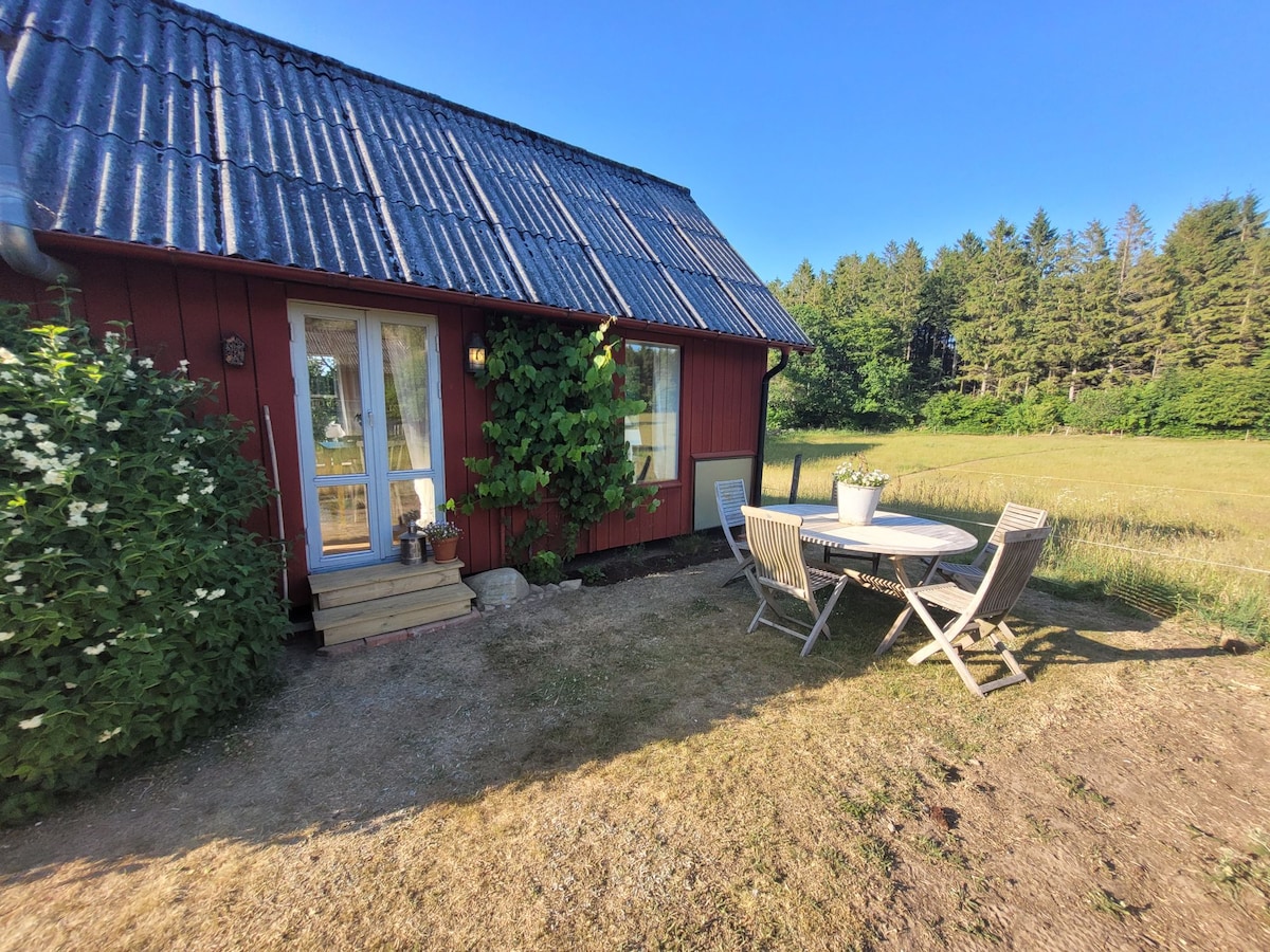 A charming red cottage features a covered porch with a small table and chairs. Lush greenery embellishes the exterior, while a grassy area extends toward a tree line in the background. The clear sky enhances the peaceful rural setting.