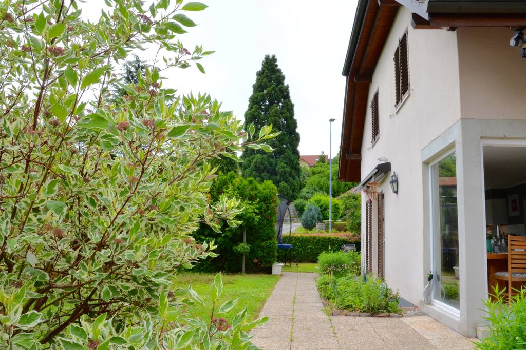 The Garden surrounding the house