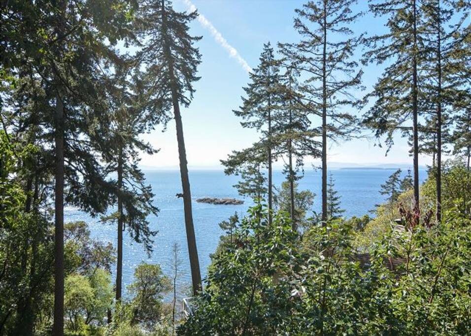 View of Haro Strait and possible Orca Whale sightings from new waterside deck.