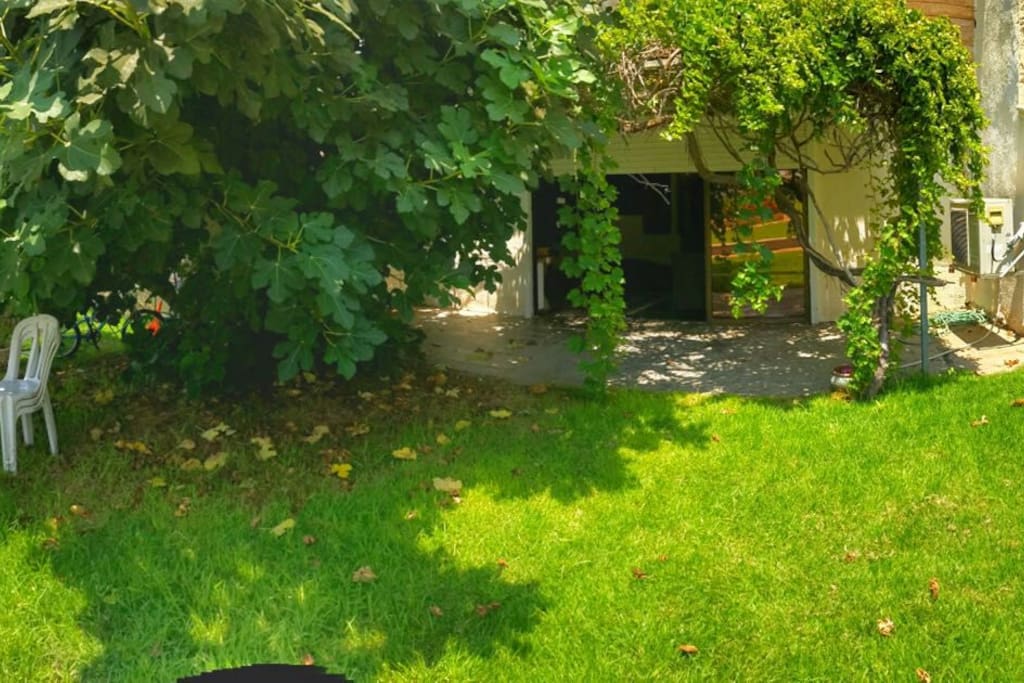 the buck garden