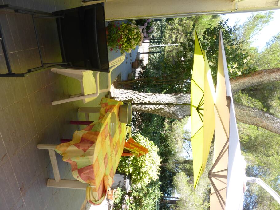 petit jardin sous les pins avec vue sur l'étang