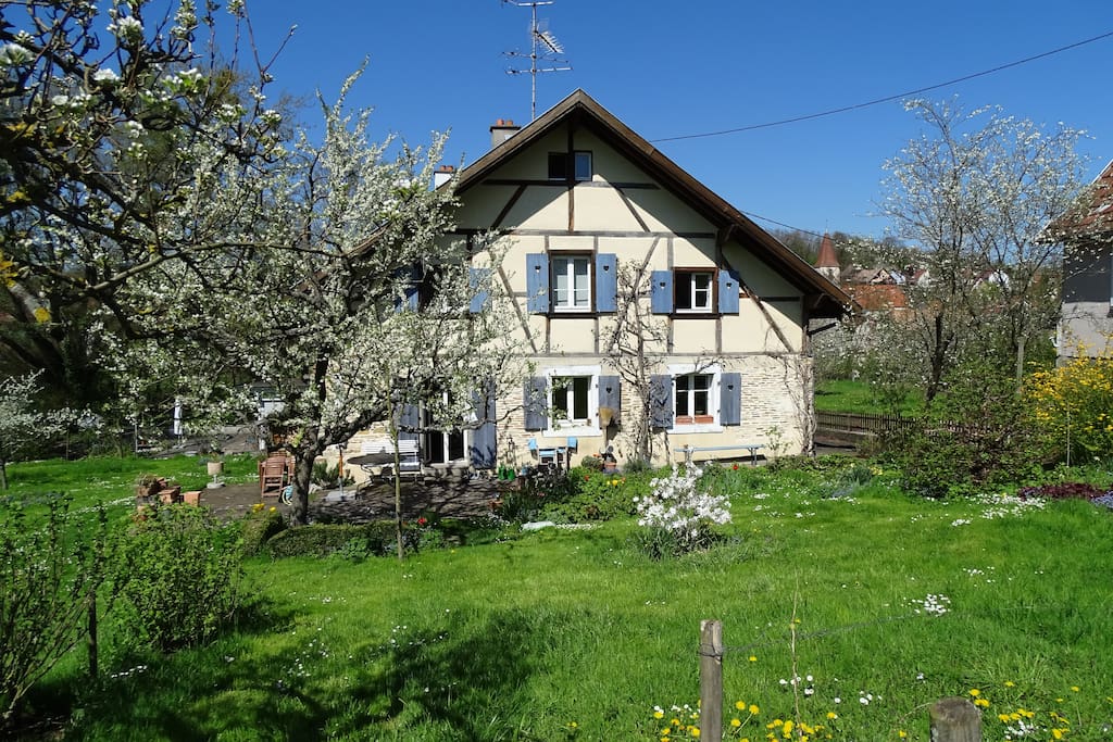 Südfassade vom Garten