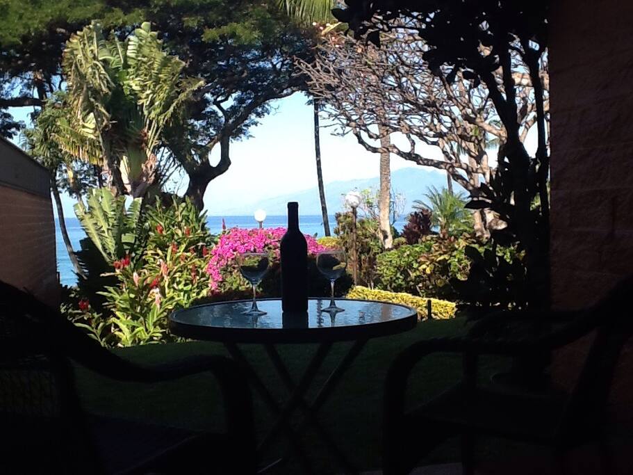 This is the view from your lanai