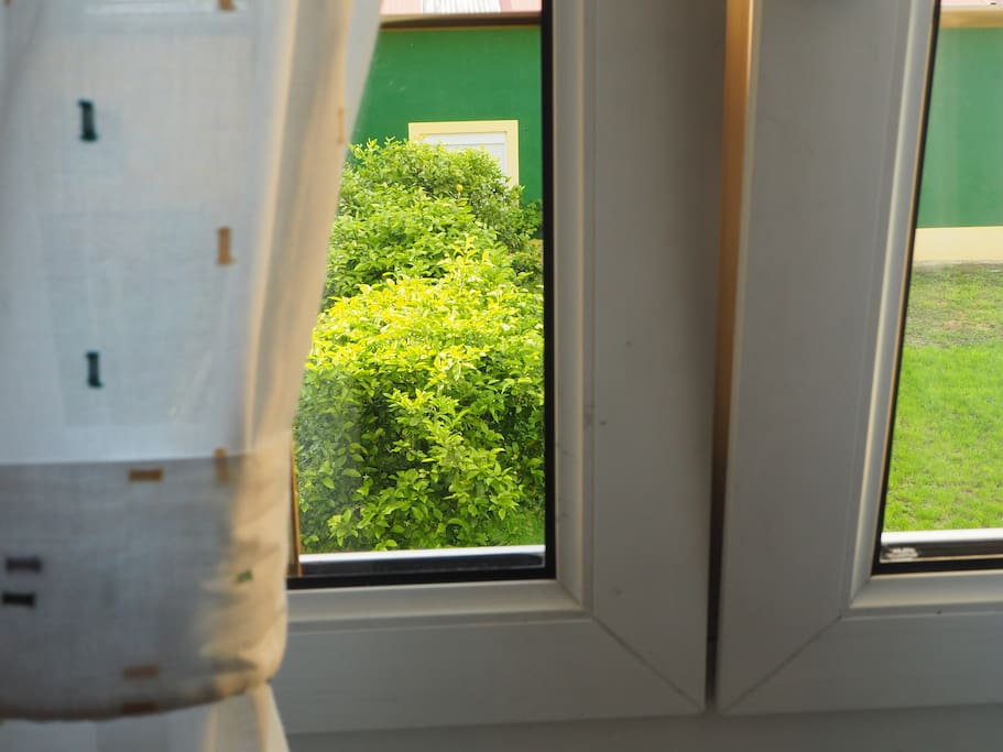 La casa tiene una amplia zona verde con limoneros, una pequeña huerta, terraza, para que disfrutes tu estancia a lo ancho