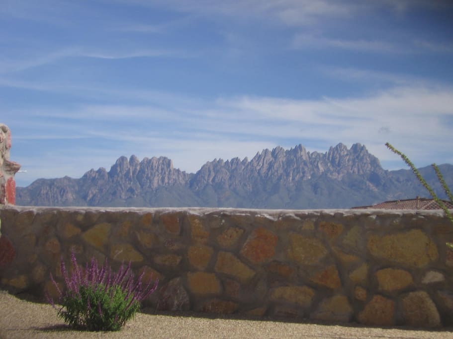 view from backyard