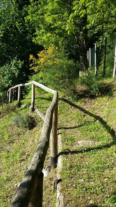 path in the garden