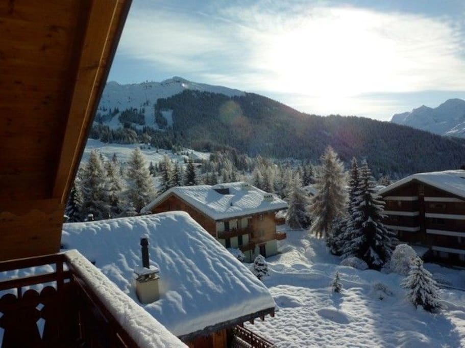 Gorgeous, sunny views