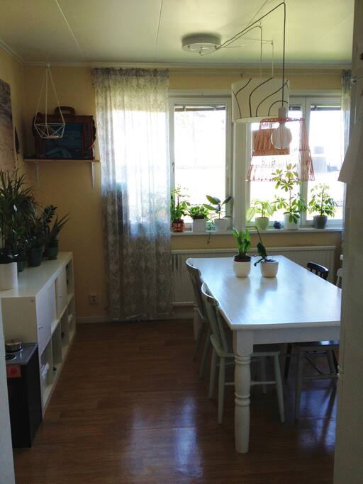 Kitchen wiew.