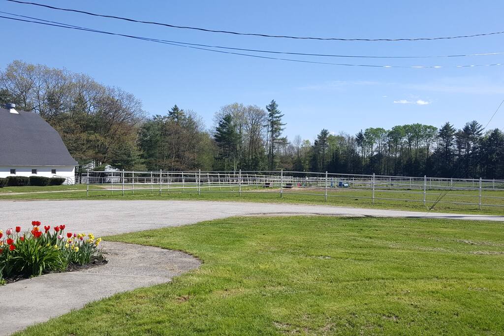 Yard/Horse Turnouts/ Barn