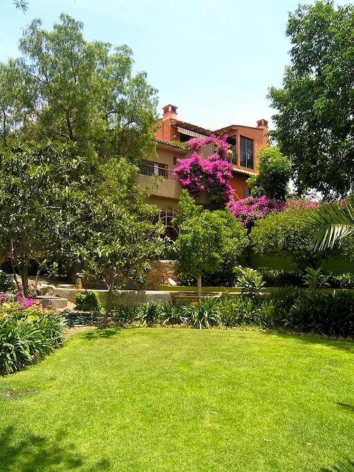 Gardens for all to use , all rental units have access