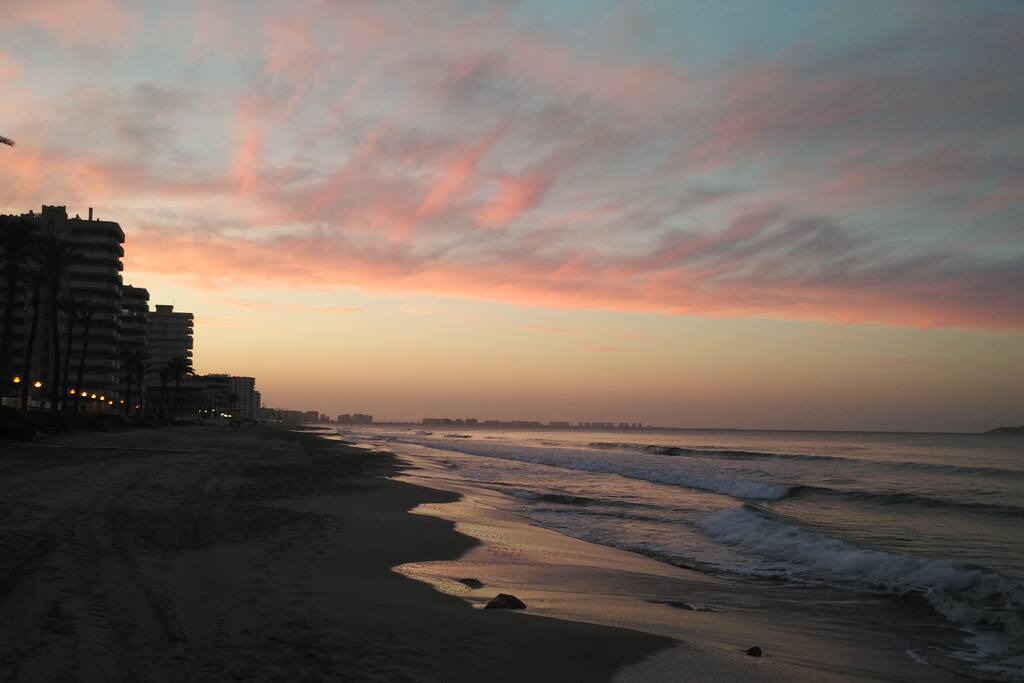 4fd3858a 8d22 4e0e b897 9c61af3bc13b