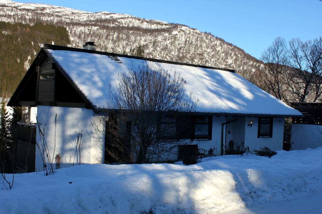 The house from the front.