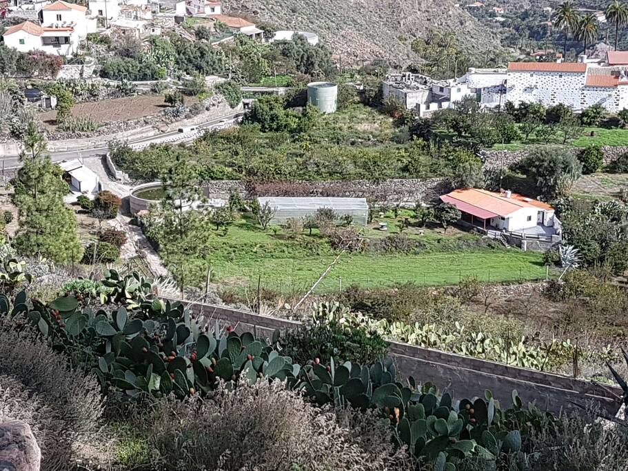 Vistas de la parcela