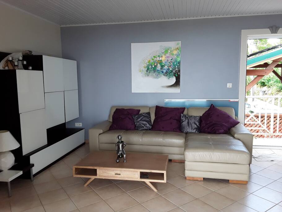 salon avec TV