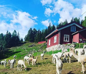 Cosy farmhouse at alpacafarm