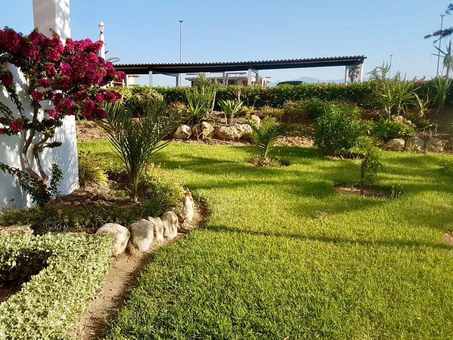 Jardin en face de l’appartement
