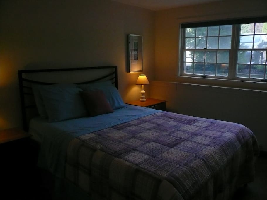 Master bedroom has a queen sized bed, dresser and a large closet.