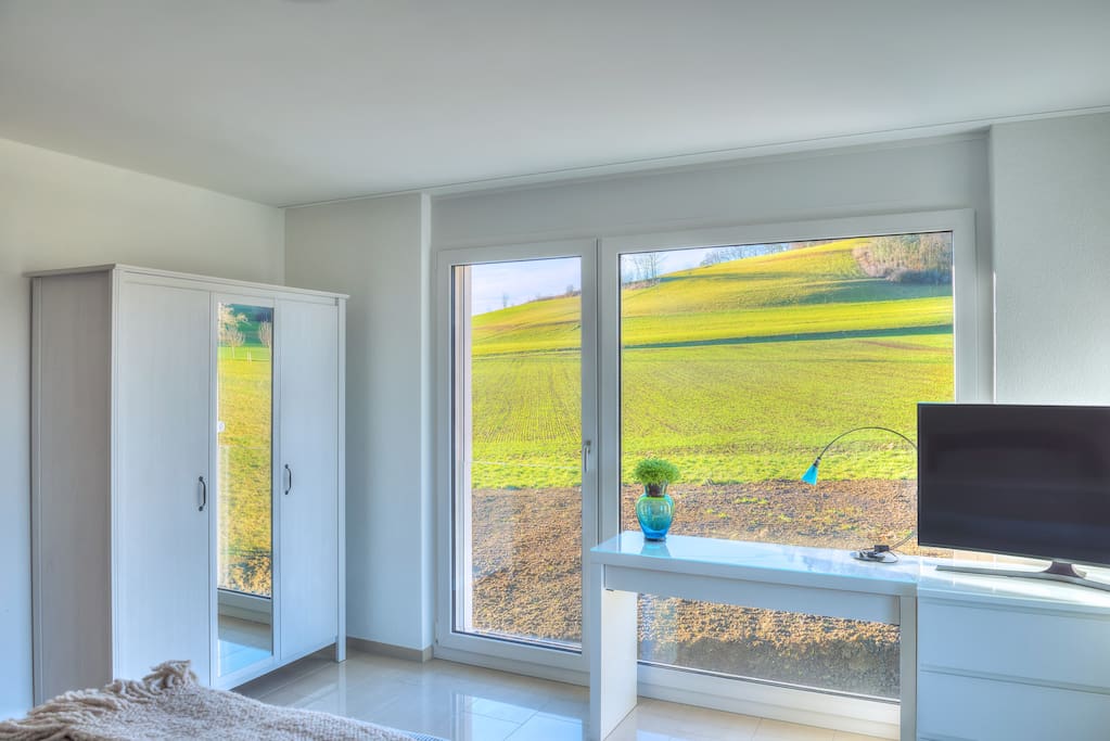 Room with gorgeous view of the mountain & forest.