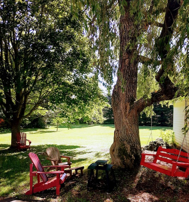 The Weeping Willow. Enjoy out door seating in the spacious green space.