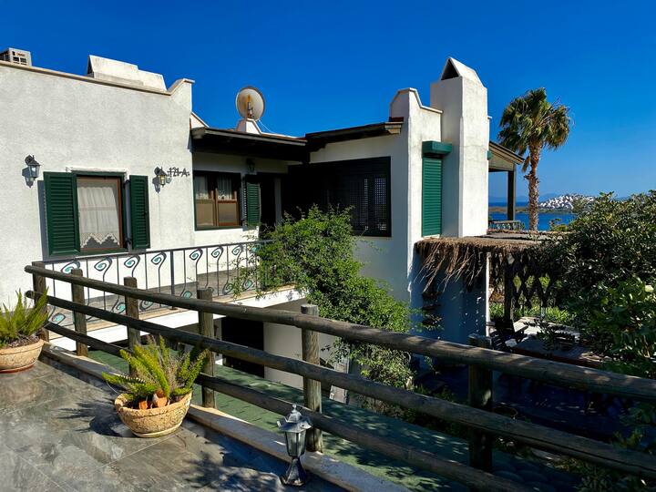 Summer House With Beach Privelage 3+1 - Bodrum
