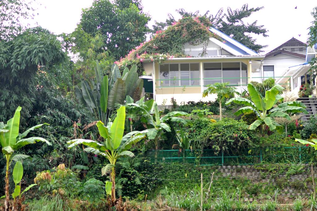 View of Studio 3 with steps leading to the garden areas - Note: The car park and entrance are all at street level so there are no stairs except to the rear garden area.