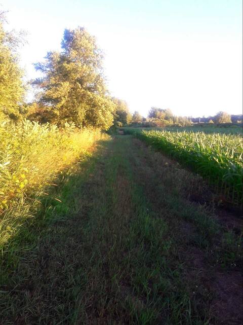 HARVEST MOON HIDEAWAY