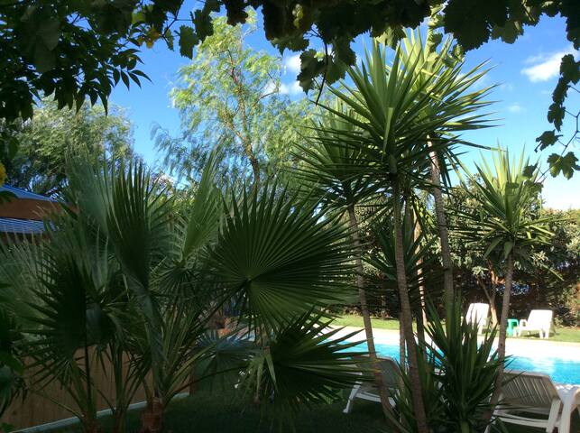 villa rustica “Rosa dei venti” piscina. gallery image 3