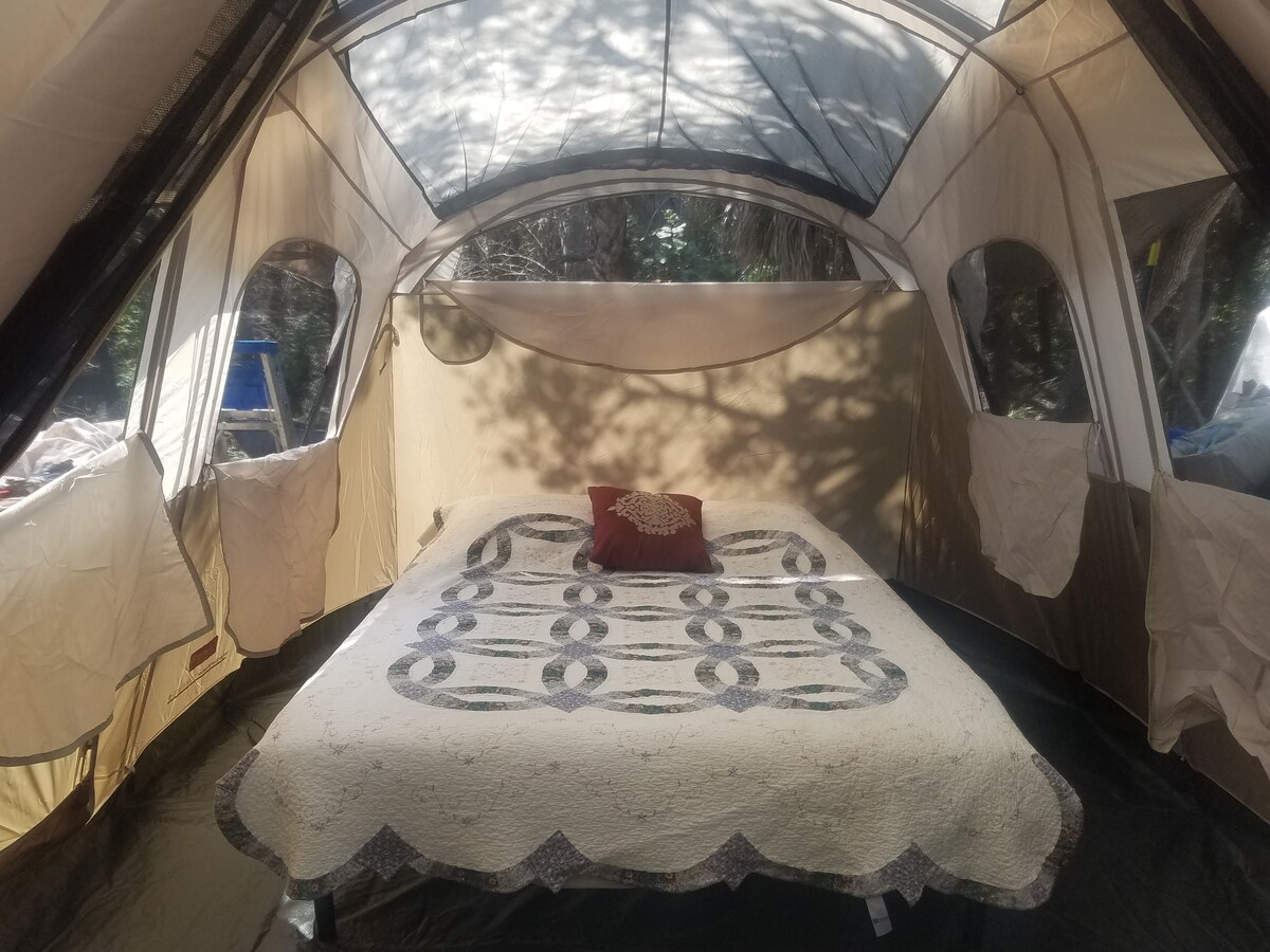 An interior view of a spacious tent features a quilted bedspread adorned with a decorative pillow. Soft light filters through the fabric walls, casting dappled shadows. The floor is covered with a dark material, contributing to the cozy atmosphere.