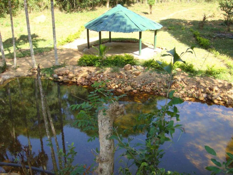 The Stream